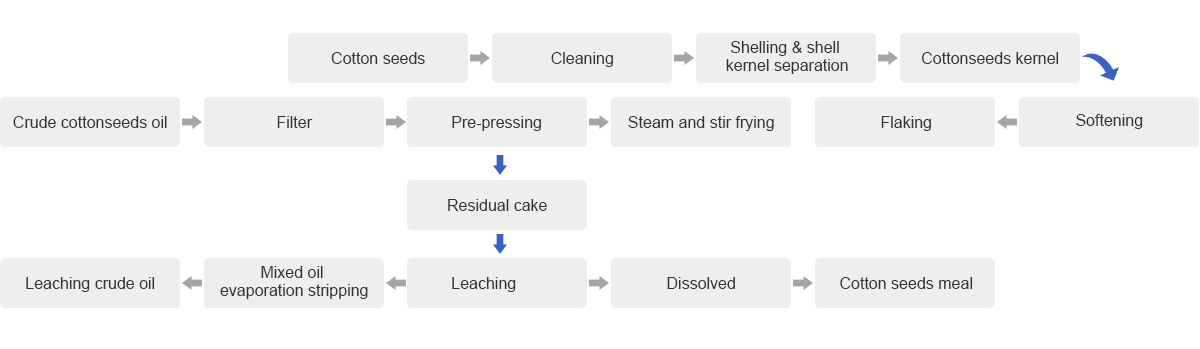 Cottonseed Oil Processing Line