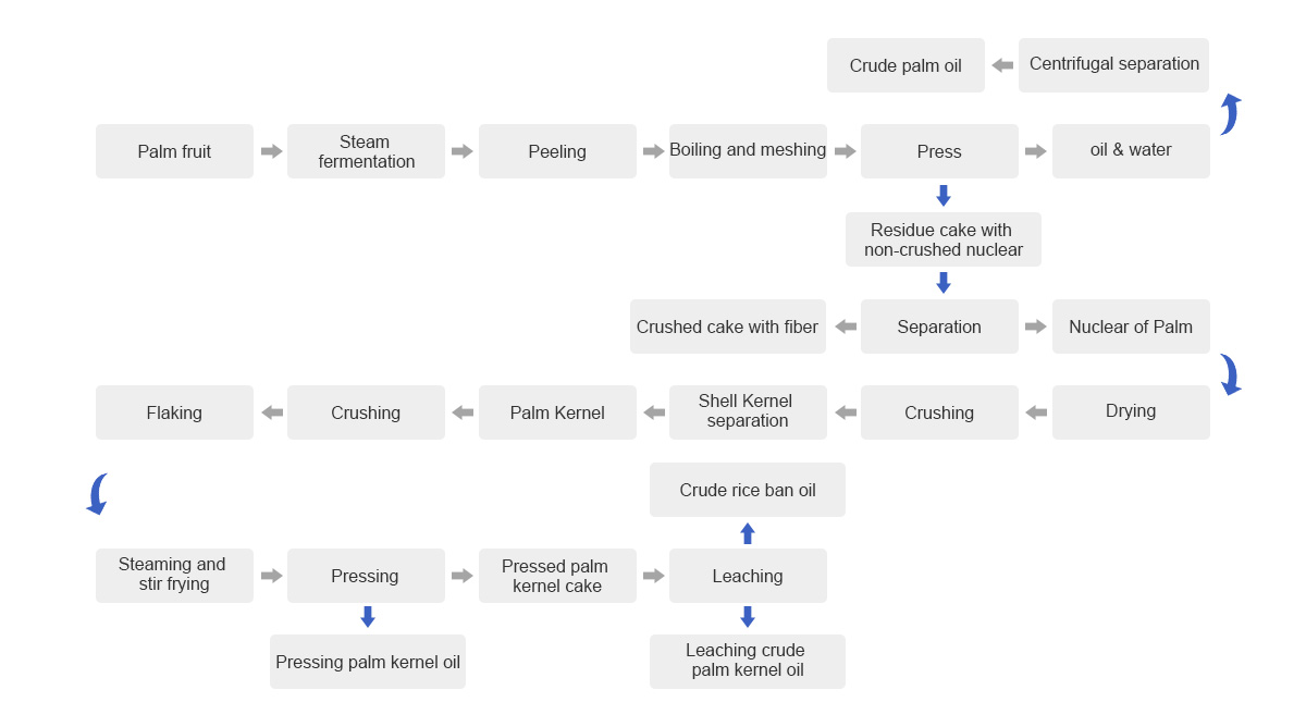 Whole process of the palm oil and palm kernel oil flow chart