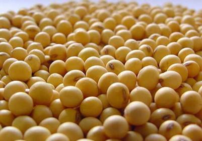 How to improve the production of Soybean Oil Production Line
